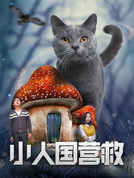 高清蓝光在线观看