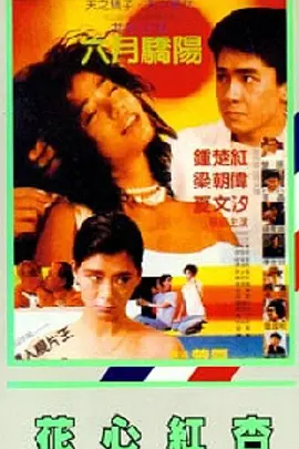 中文字幕在线手机播放
