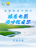 BD高清免费观看