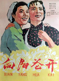 高清影视